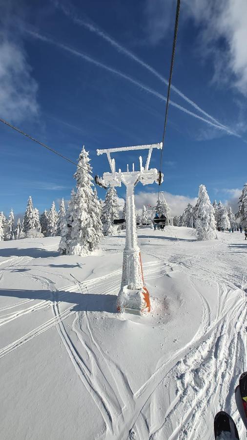 Two Apartaments Almberg - Mitterdorf-Mitterfirmiansreut Luaran gambar