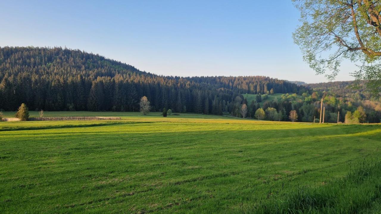 Two Apartaments Almberg - Mitterdorf-Mitterfirmiansreut Luaran gambar