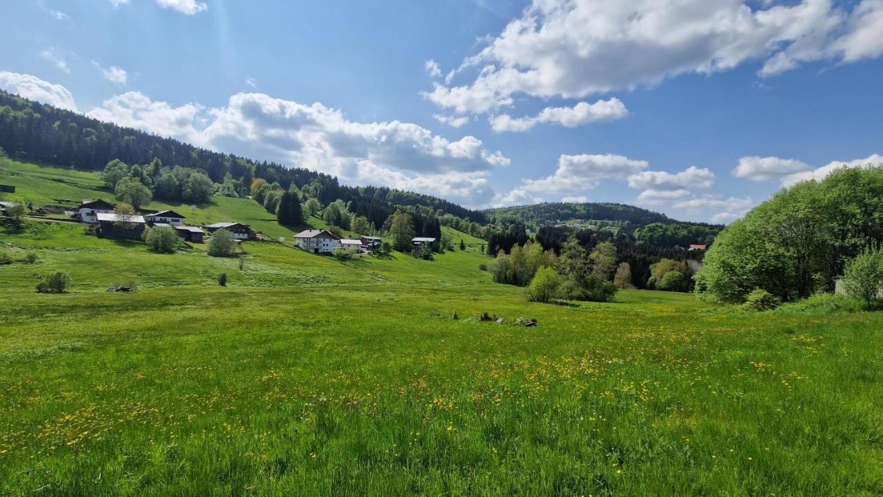 Two Apartaments Almberg - Mitterdorf-Mitterfirmiansreut Luaran gambar