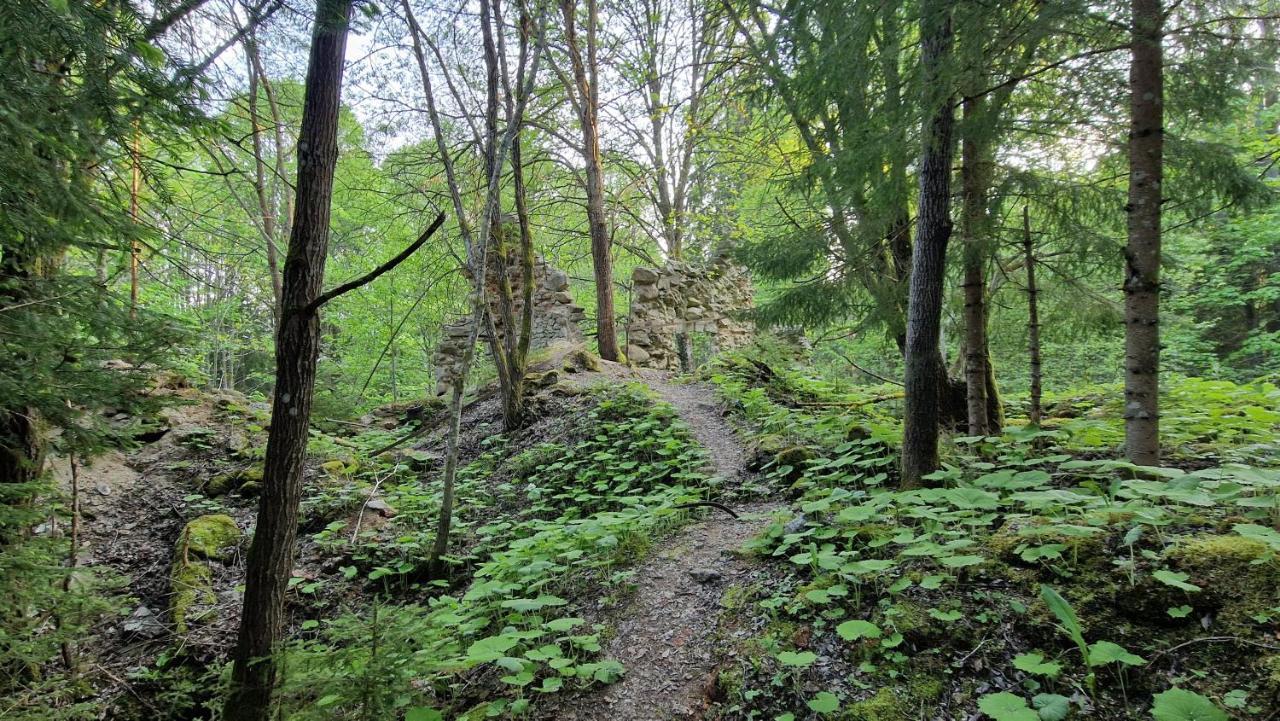 Two Apartaments Almberg - Mitterdorf-Mitterfirmiansreut Luaran gambar
