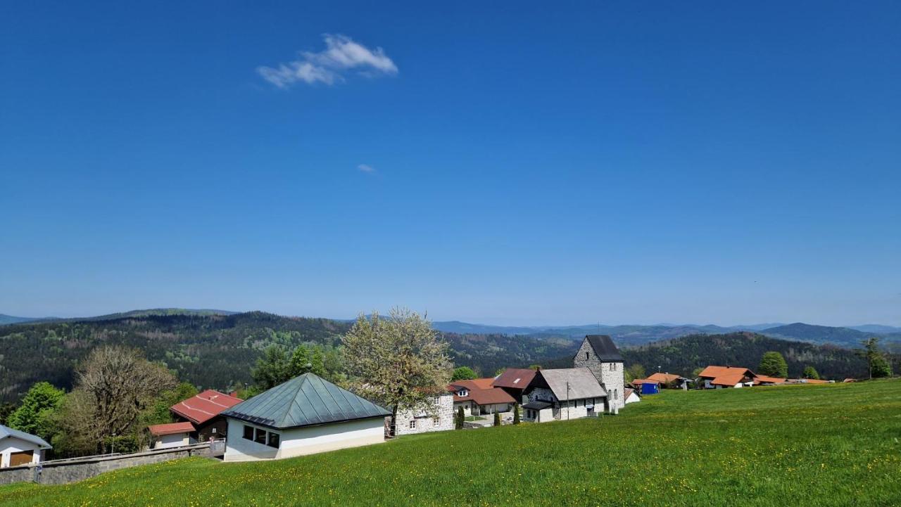 Two Apartaments Almberg - Mitterdorf-Mitterfirmiansreut Luaran gambar